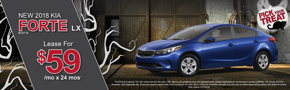 Kia Forte: SRS Care Kia Forte: SRS Care